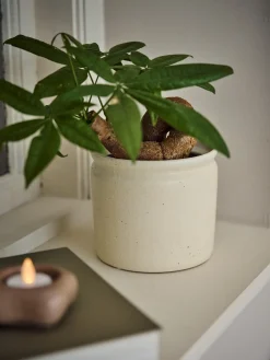 Pot de fleurs