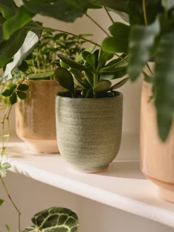 Pot de fleurs