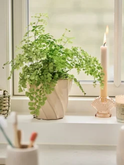 Pot de fleurs
