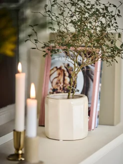 Pot de fleurs