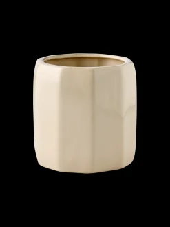 Pot de fleurs