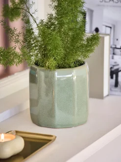 Pot de fleurs