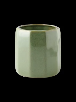 Pot de fleurs
