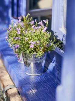 Pot de fleurs