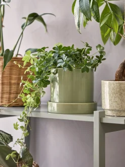 Pot de fleurs avec soucoupe