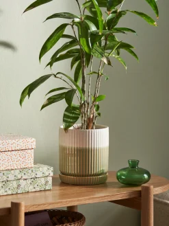 Pot de fleurs avec soucoupe