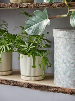 Pot de fleurs avec soucoupe