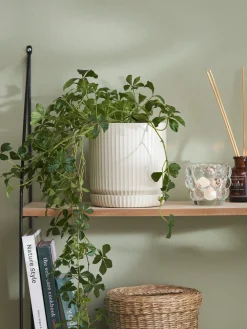 Pot de fleurs avec soucoupe