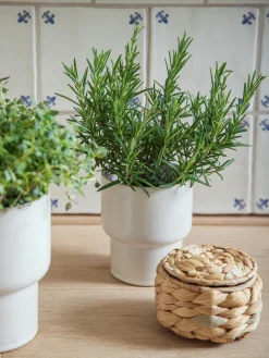Pot de fleurs en grès