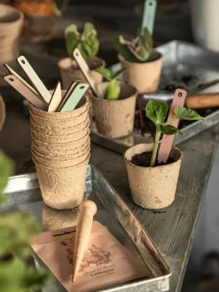 Pots de semis