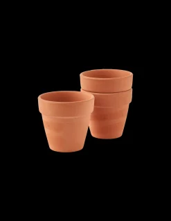 Pots de semis en terre cuite