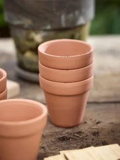 Pots de semis en terre cuite