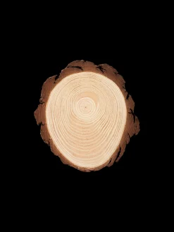 Rondin de bois