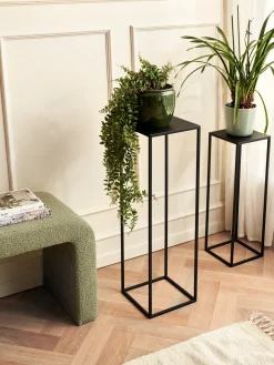 Support pour plantes