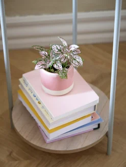 Support pour plantes
