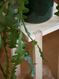 Support pour plantes en pin