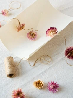 Têtes de fleurs séchées